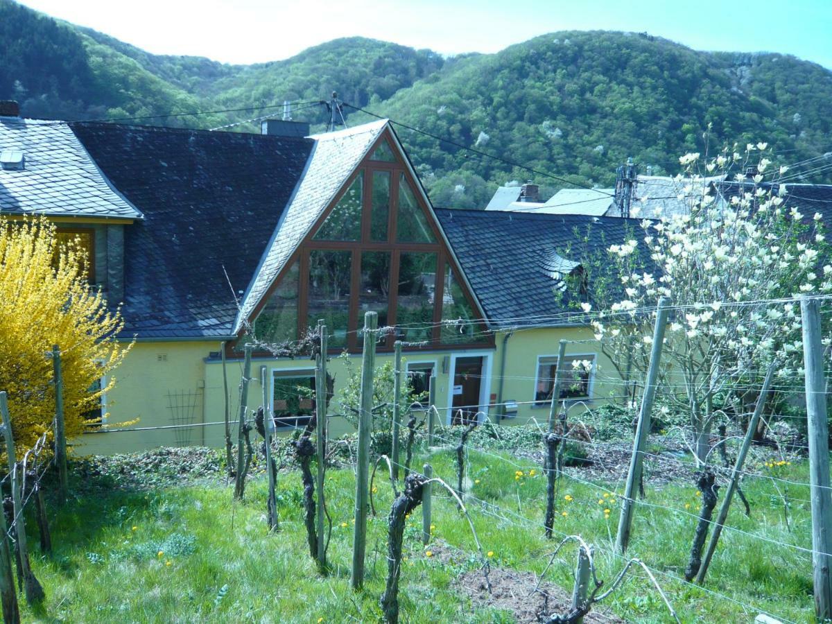 Pension Am Weinberg 메세니흐 외부 사진