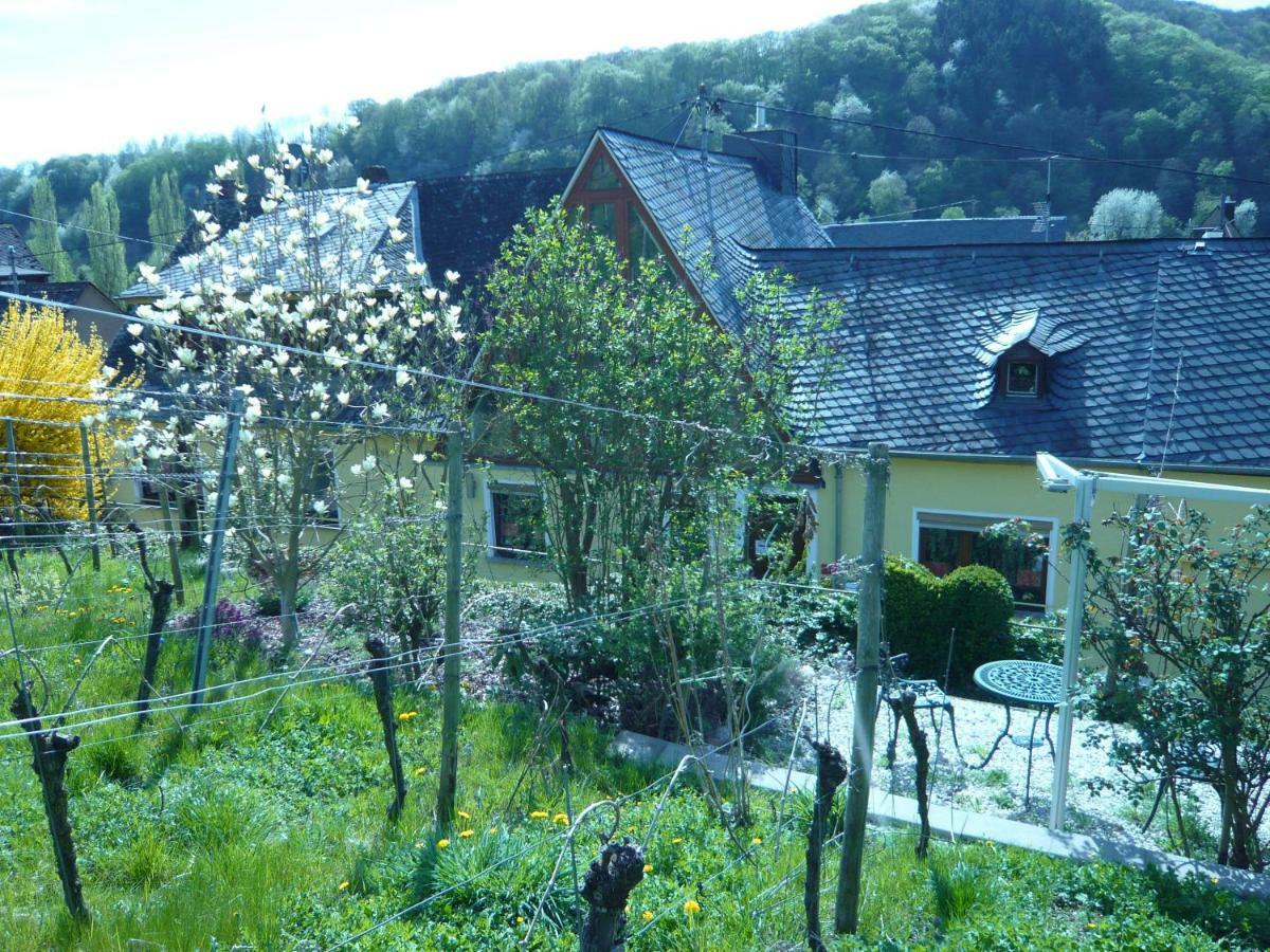 Pension Am Weinberg 메세니흐 외부 사진